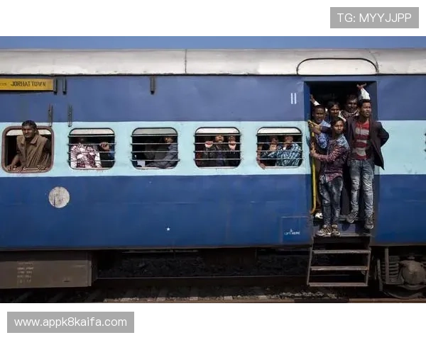 如何快速导航到开云体育官网首页查找所需信息