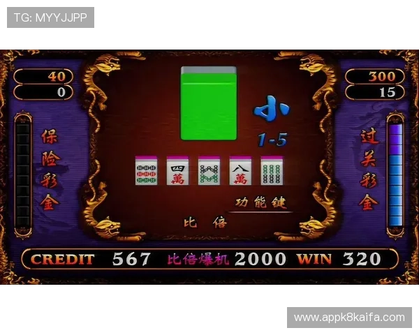 押庄龙虎游戏的未来发展方向与创新玩法探索