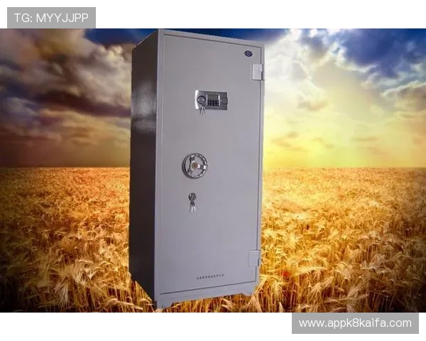 凯发国际k8官网登录网页版全面升级，支持多种支付方式确保资金安全稳定