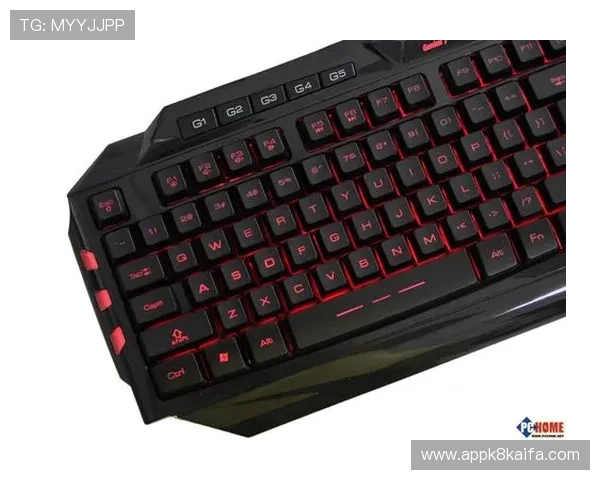 在K8平台下载官网获取官方正版游戏资源，支持多设备同步登录，畅玩无障碍的游戏世界